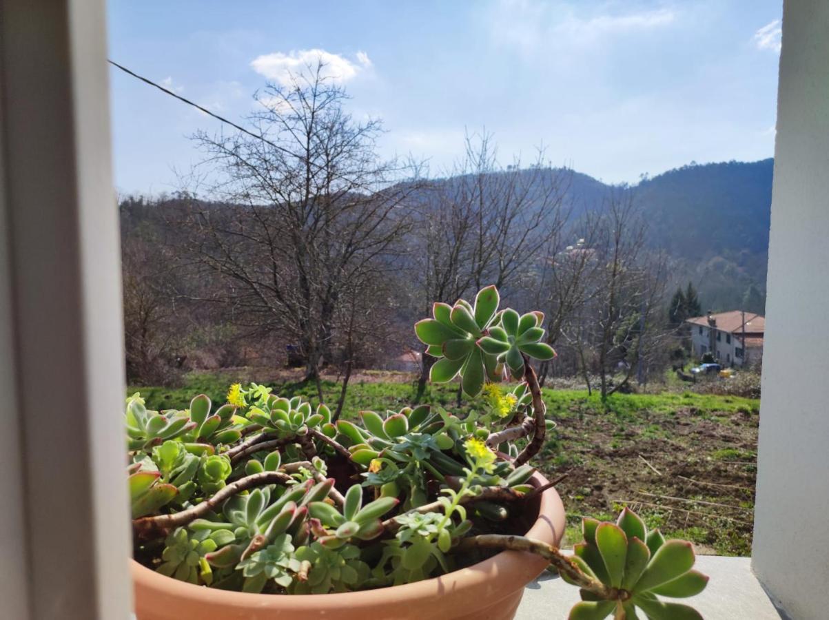 Casa Dei Giuggioli Holiday home *